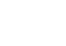 Icon 80